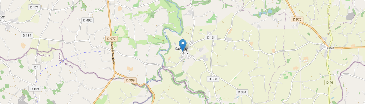 Savigny-le-Vieux - Carte