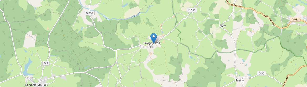 Savigny-Poil-Fol - Carte