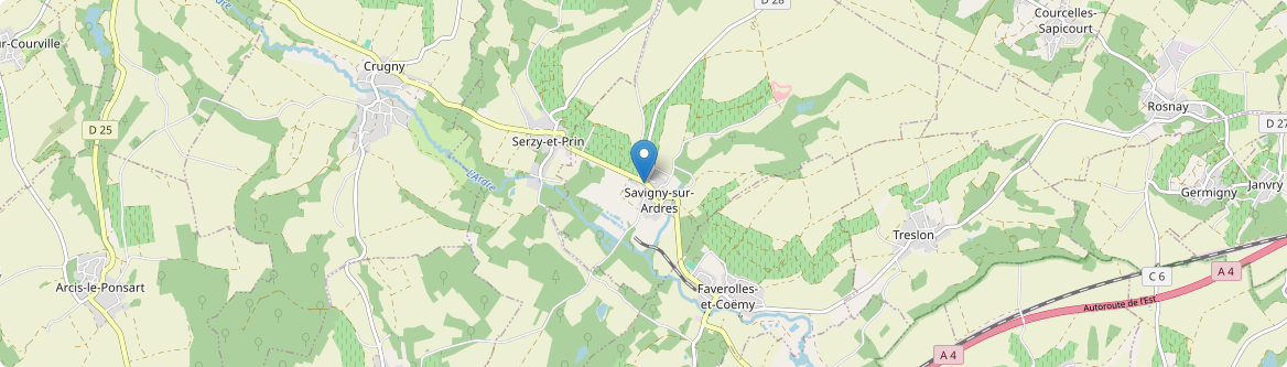 Savigny-sur-Ardres - Carte