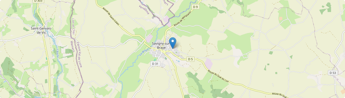 Savigny-sur-Braye - Carte