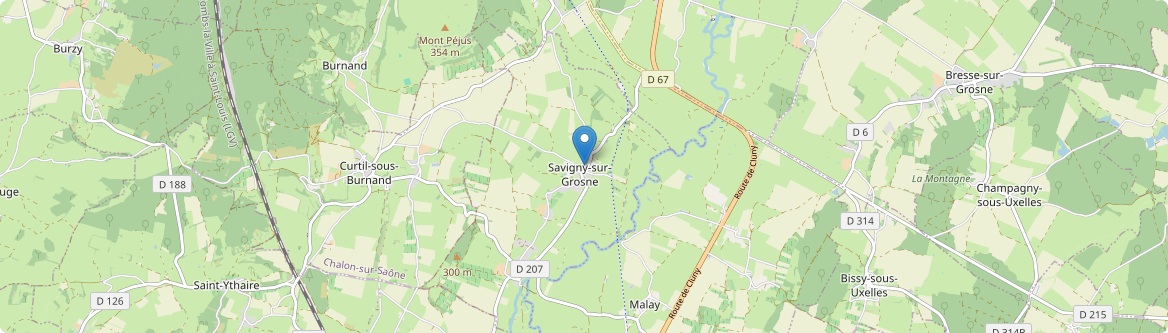 Savigny-sur-Grosne - Carte