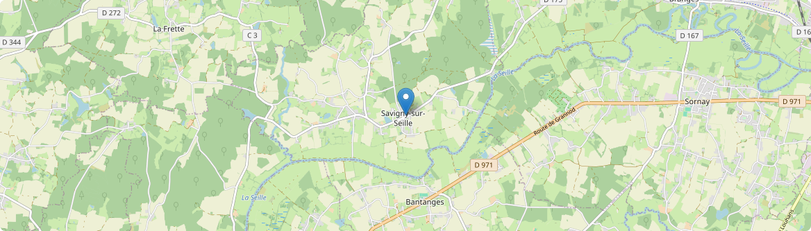 Savigny-sur-Seille - Carte
