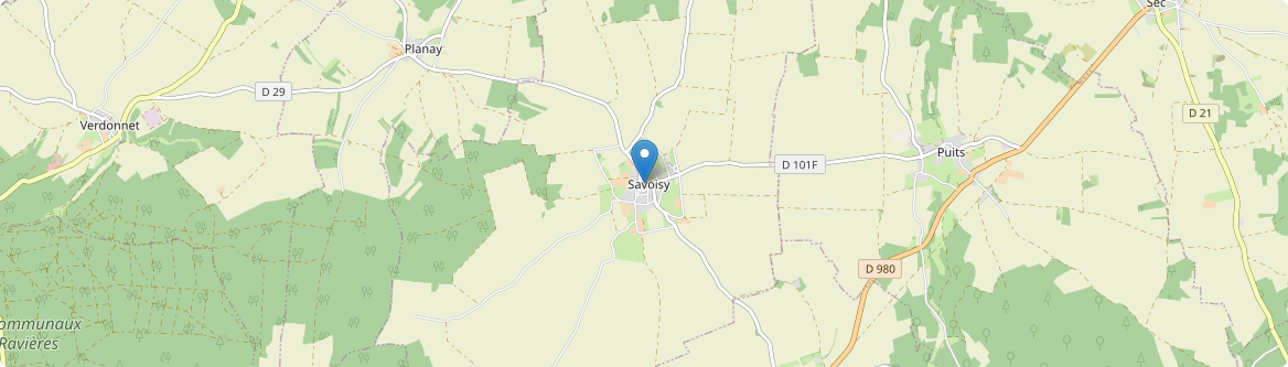 Savoisy - Carte