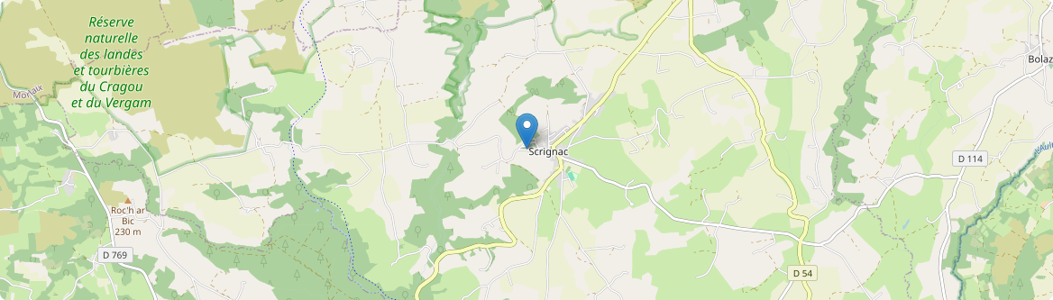 Scrignac - Carte