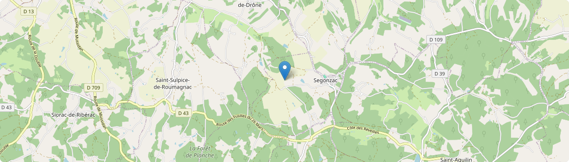 Segonzac - Carte