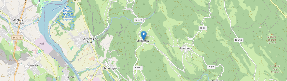 Seillonnaz - Carte