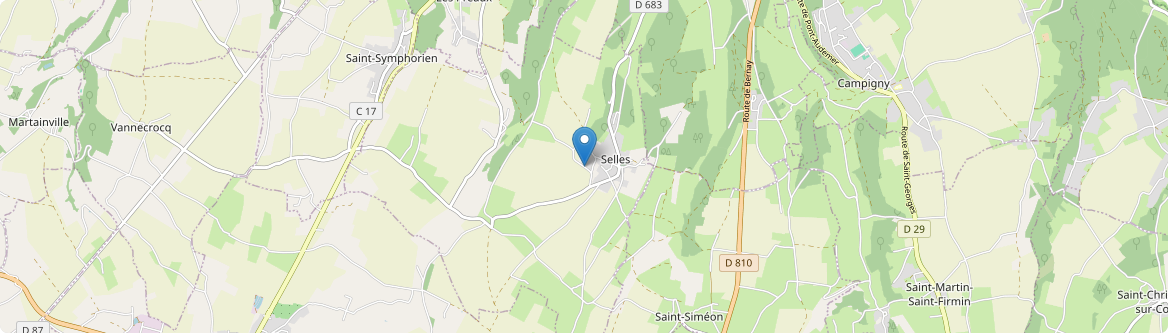 Selles - Carte