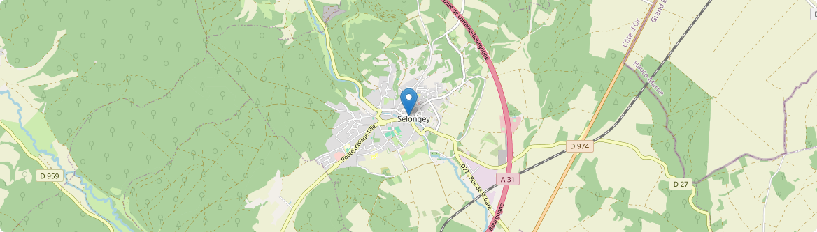Selongey - Carte