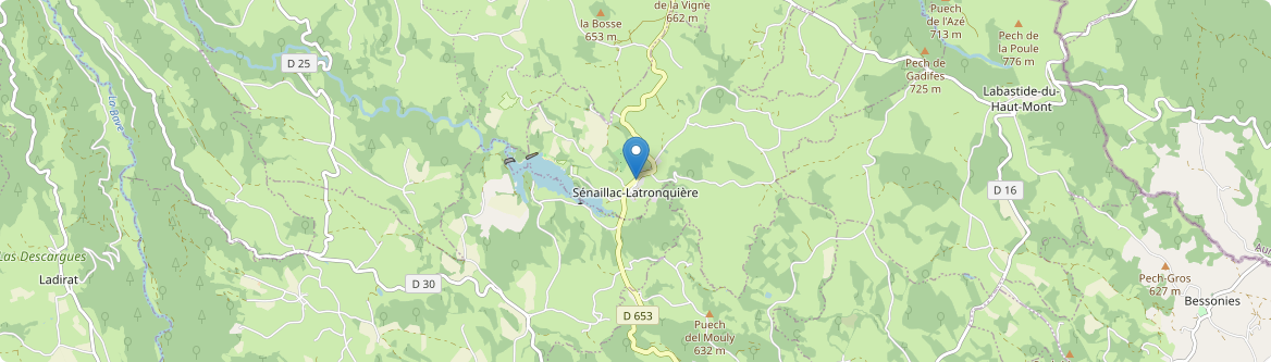 Sénaillac-Latronquière - Carte