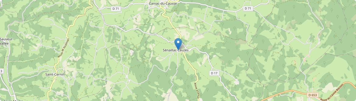 Sénaillac-Lauzès - Carte