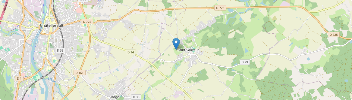 Senillé-Saint-Sauveur - Carte