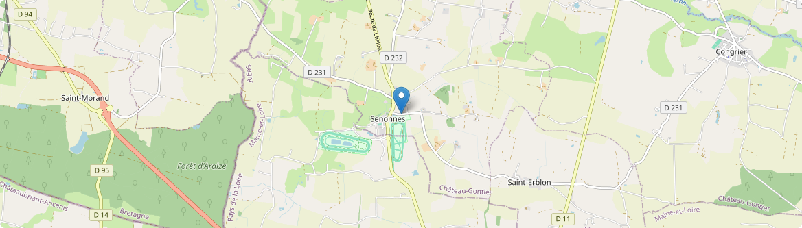 Senonnes - Carte