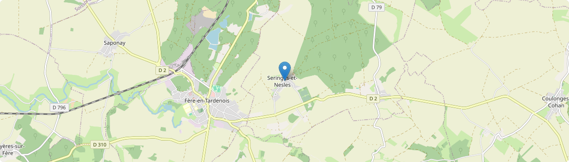 Seringes-et-Nesles - Carte
