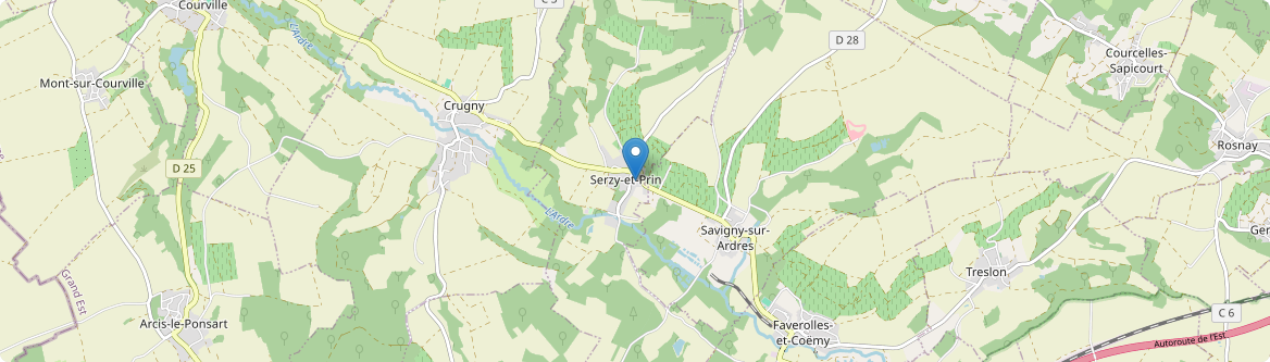 Serzy-et-Prin - Carte