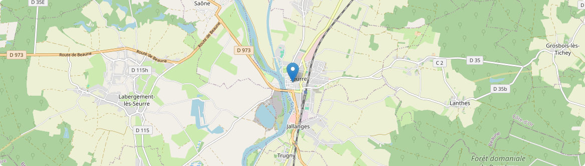 Seurre - Carte