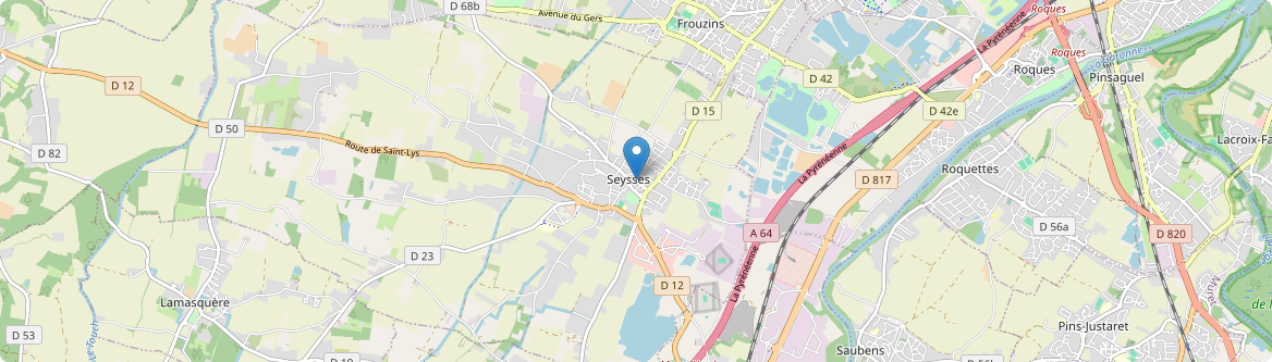 Seysses - Carte