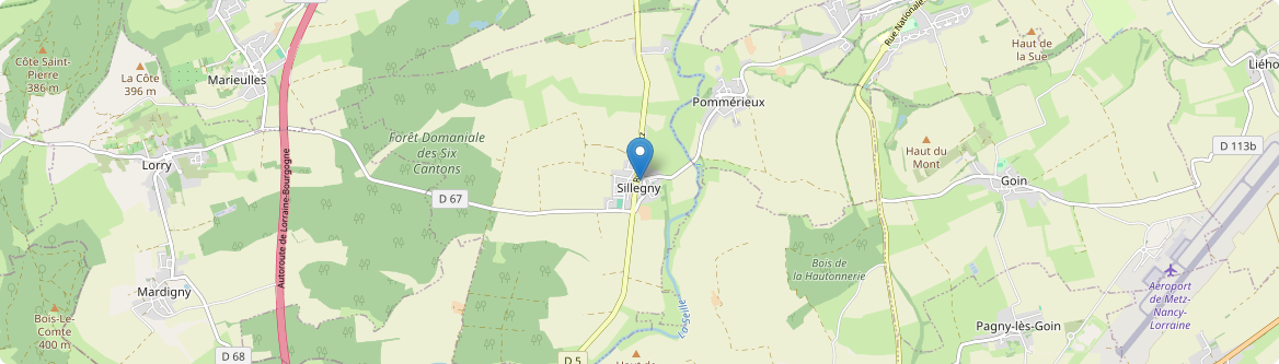 Sillegny - Carte