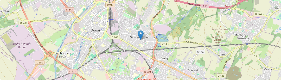 Sin-le-Noble - Carte
