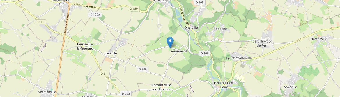 Sommesnil - Carte