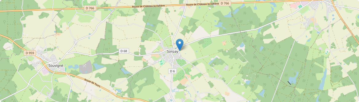 Sonzay - Carte