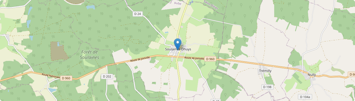 Soulaines-Dhuys - Carte