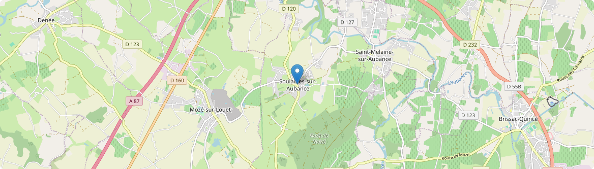 Soulaines-sur-Aubance - Carte