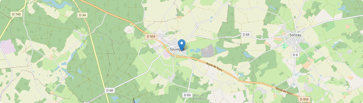 Souvigné - Carte