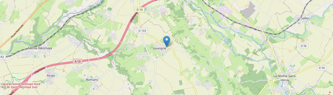 Souvigné - Carte