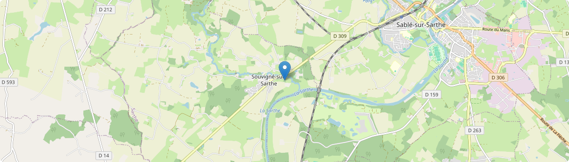 Souvigné-sur-Sarthe - Carte