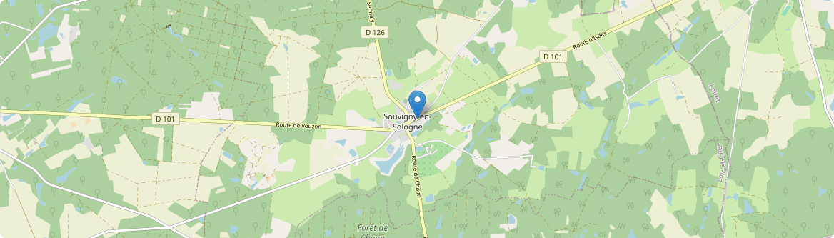 Souvigny-en-Sologne - Carte