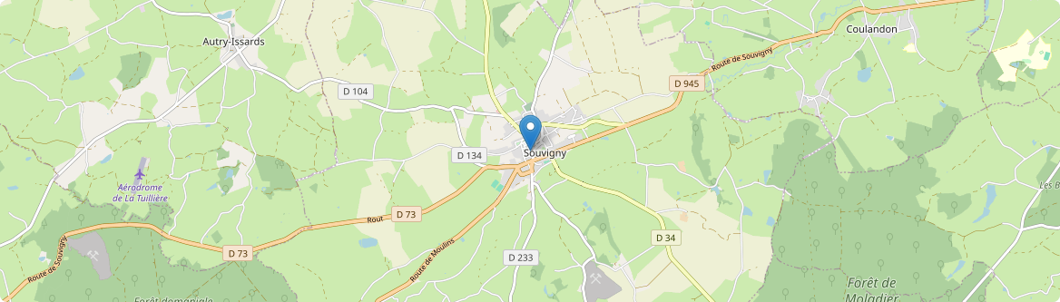 Souvigny - Carte