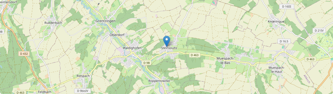 Steinsoultz - Carte