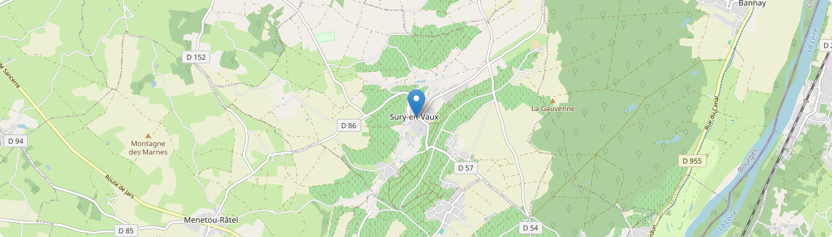 Sury-en-Vaux - Carte