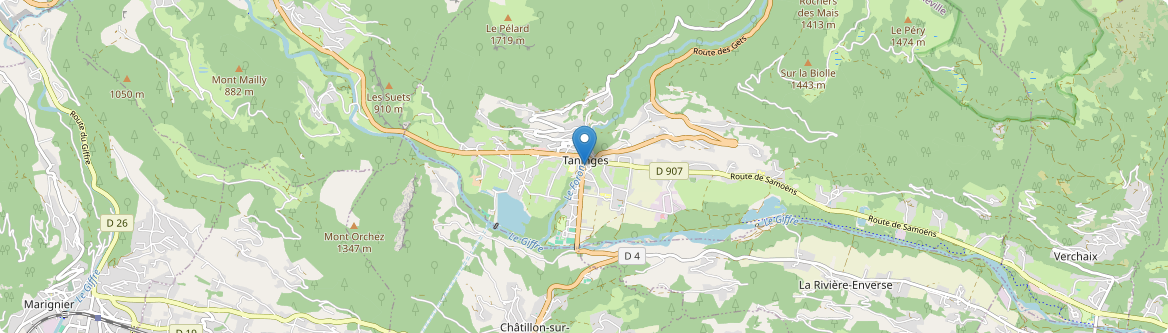 Taninges - Carte