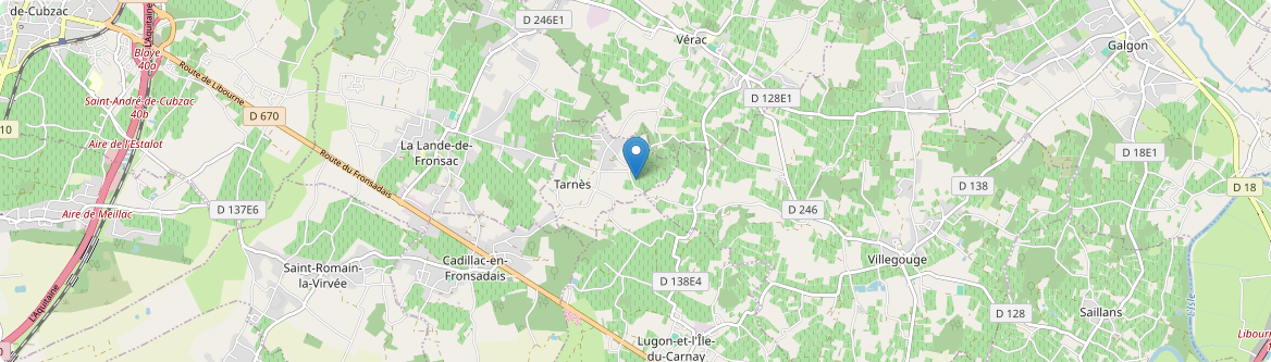 Tarnès - Carte