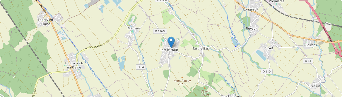 Tart - Carte