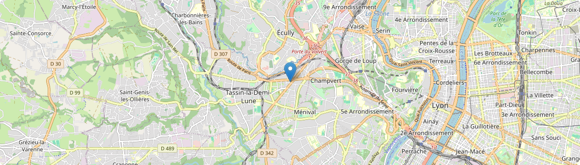 Tassin-la-Demi-Lune - Carte