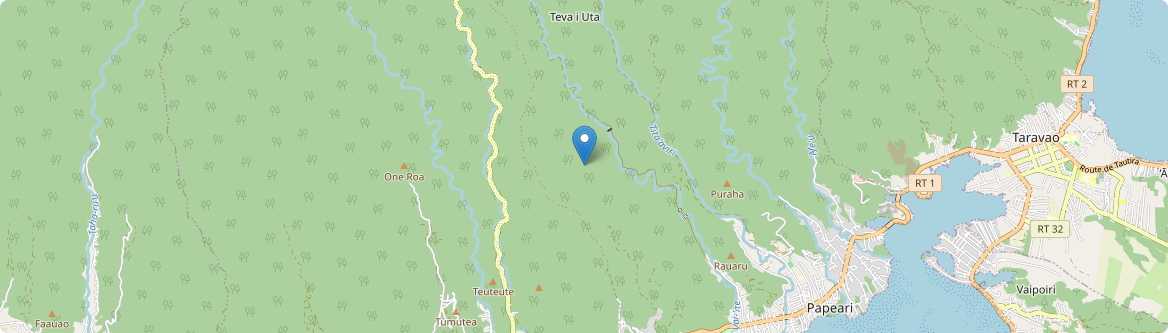 Teva I Uta - Carte