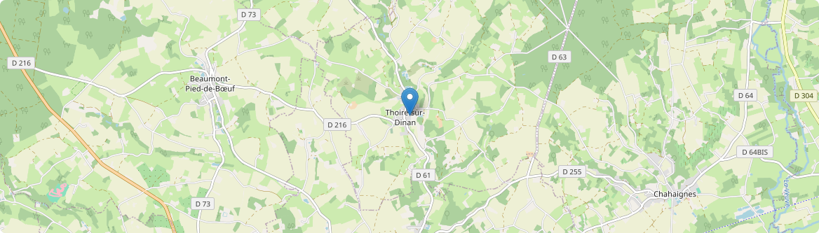 Thoiré-sur-Dinan - Carte