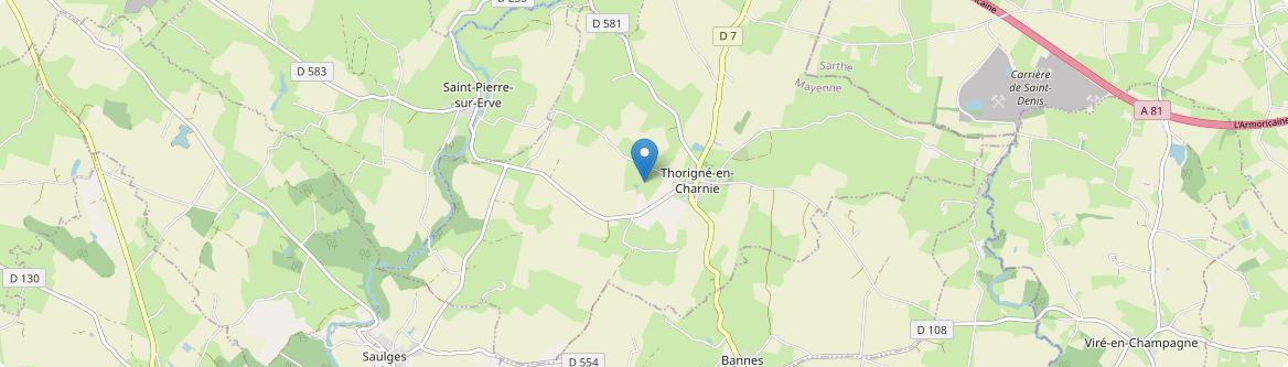Thorigné-en-Charnie - Carte