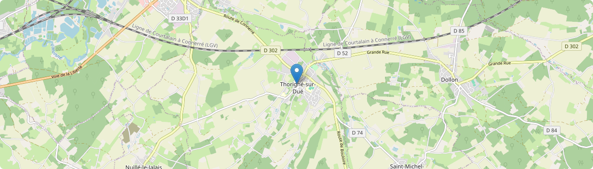 Thorigné-sur-Dué - Carte