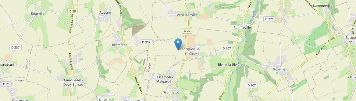 Tocqueville-en-Caux - Carte