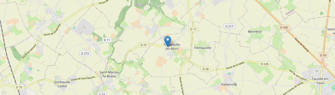 Tocqueville-les-Murs - Carte