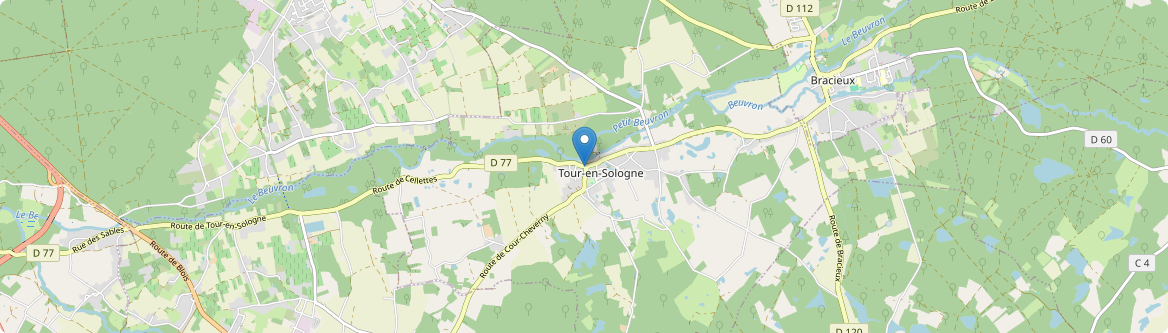 Tour-en-Sologne - Carte