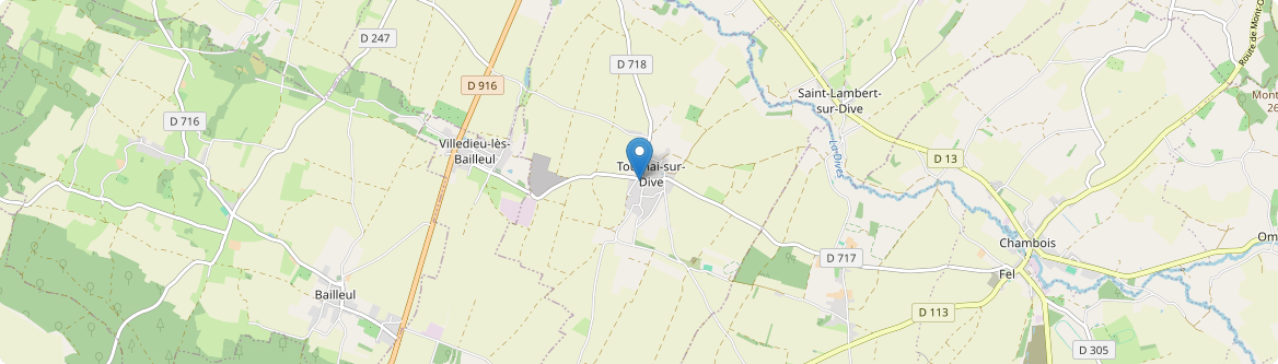 Tournai-sur-Dive - Carte