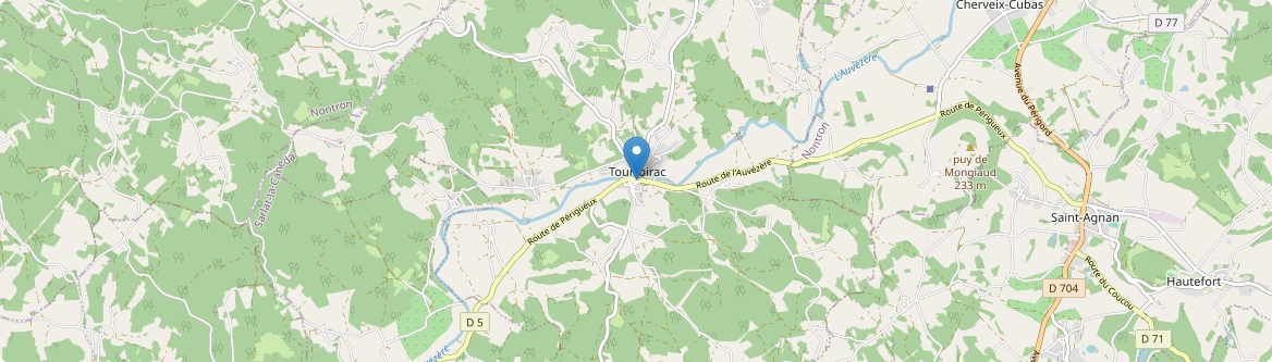 Tourtoirac - Carte