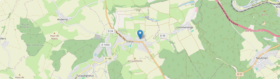 Trieux - Carte