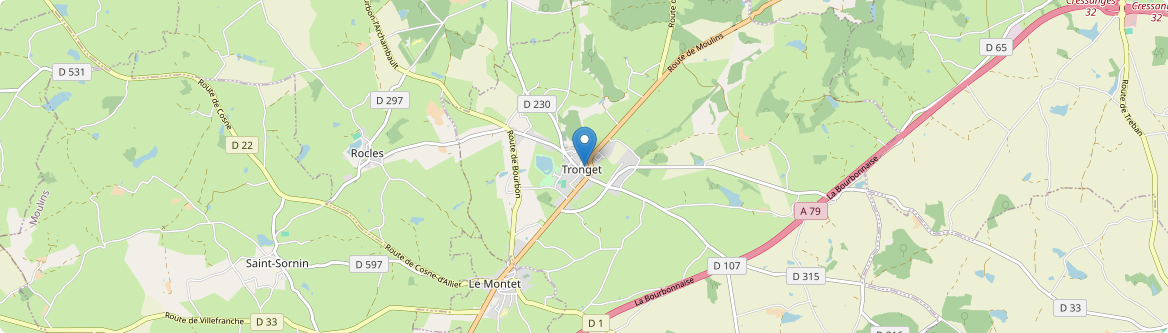 Tronget - Carte