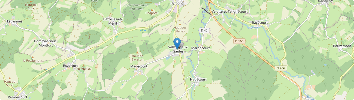 Valleroy-aux-Saules - Carte
