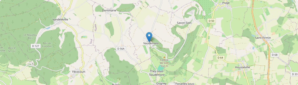 Vaudémont - Carte